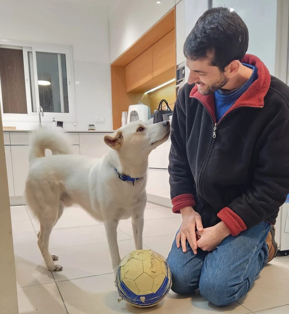 זיו גמליאל